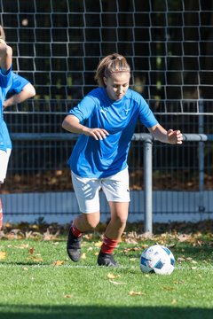 Bild 135 - Frauen Holstein Kiel - SV Meppen : Ergebnis: 1:1